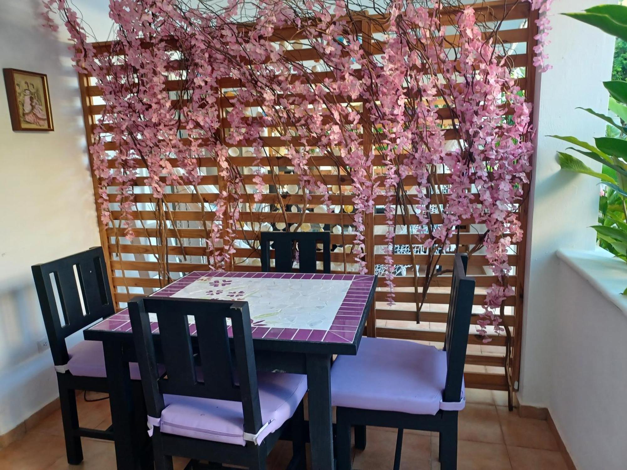 Dona Mayra Aparta Hotel Las Terrenas Chambre photo